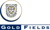 Gold-fields