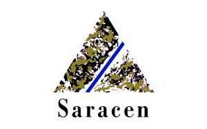 Saracen-Mineral-Holdings-Limited